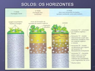 SOLOS: OS HORIZONTES 
