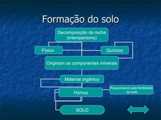 Formação do solo Decomposição da rocha (intemperismo) Físico Químico Originam os componentes minerais Material orgânico Húmus SOLO Responsável pela fertilidade do solo 