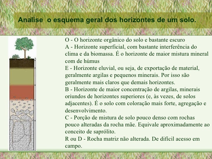 Relacione Os Tipos De Solo As Suas Características