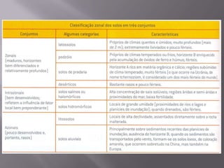  Podzol – clima temperado ou frio; pouco profundo; fértil, porém ácido.