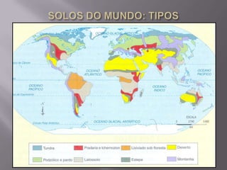  Desértico - clima árido; raso; horizonte A arenoso; pouco fértil.