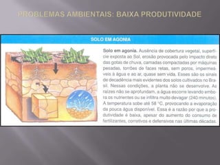  Regossolo- colinas e declives suaves; raso.