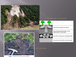Com relação à cor, a maior parte dos solos pode ser agrupada em três tipos: Avermelhados e amarelados, que indicam forte presença de óxido de ferro.