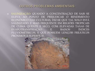  Escuros, que indicam forte presença de matérias orgânicas.