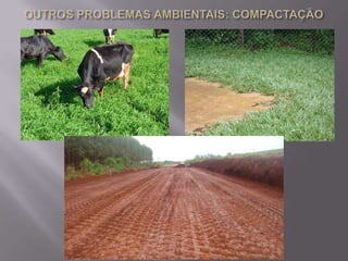 PROBLEMAS AMBIENTAIS: VOÇOROCAMENTO