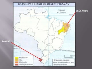 PROBLEMAS AMBIENTAIS: BAIXA PRODUTIVIDADE