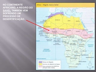 PROBLEMAS AMBIENTAIS: BAIXA PRODUTIVIDADE