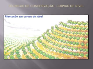 ESCORREGAMENTO DE ENCOSTAESQUEMA DE LIXIVIAÇÃOLATERIZAÇÃO