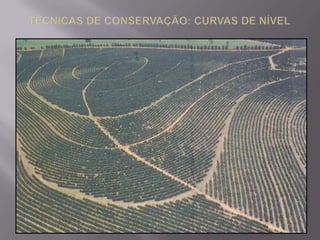 OUTROS PROBLEMAS AMBIENTAIS:SALINIZAÇÃO: QUANDO A CONCENTRAÇÃO DE SAIS SE ELEVA AO PONTO DE PREJUDICAR O RENDIMENTO ECONÔMICO DAS CULTURAS, DIZ-SE QUE TAL SOLO ESTÁ SALINIZADO. É MAIS FREQUENTE EM REGIÕES TROPICAIS DE CLIMA QUENTE E SECO, COM ELEVADAS TAXAS DE EVAPOTRANSPIRAÇÃO E BAIXOS ÍNDICES PLUVIOMÉTRICOS, E QUE POSSUEM LENÇOIS FREÁTICOS PRÓXIMOS À SUPERFÍCIE.