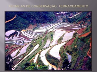 OUTROS PROBLEMAS AMBIENTAIS:ARENIZAÇÃO: ARENIZAÇÃO, OU FORMAÇÃO DE BANCOS DE AREIA, É O PROCESSO DE RETIRADA DE COBERTURA VEGETAL EM SOLOS ARENOSOS, EM REGIÕES DE CLIMA ÚMIDO, COM REGIME DE CHUVAS CONSTANTES. A ARENIZAÇÃO TEM ESTREITA RELAÇÃO COM A GEOLOGIA LOCAL E OCORRE, NECESSARIAMENTE, EM TERRENOS COM DESNÍVEIS, COM PARTES ALTAS E BAIXAS. TEMPORAIS E VENTOS FORTES RETIRAM RESTOS DE VEGETAÇÃO E SEDIMENTOS DO SOLO DAS ÁREAS MAIS ALTAS, DEPOSITANDO-OS NAS PARTES BAIXAS DO TERRENO.  O DESMATAMENTO E O USO INADEQUADO DO SOLO POTENCIALIZAM O DEPÓSITO DE SEDIMENTOS, DIFICULTANDO O CRESCIMENTO DE NOVA VEGETAÇÃO NA ÁREA. SEM NOVAS PLANTAS, O TERRENO EMPOBRECE. SUA ARENOSIDADE NATURAL É REFORÇADA PELO ACÚMULO DE SEDIMENTOS, O QUE FORMA OS BANCOS DE AREIA.