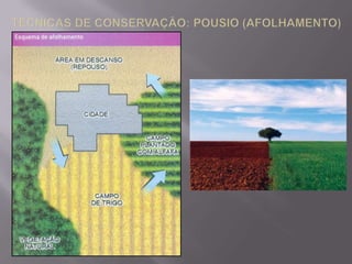 OUTROS PROBLEMAS AMBIENTAIS:COMPACTAÇÃO: PROCESSO PELO QUAL O AR É FORÇADO PARA FORA DO SOLO (POR CAUSA DA DESTRUIÇÃO DOS MACROPOROS), AUMENTADO A SUA DENSIDADE, EM VIRTUDE DO EXCESSO DE ESTRESSE APLICADO NA SUPERFÍCIE DO SOLO, CAUSADO, POR EXEMPLO, PELO PISOTEIO DO GADO E TRÂNSITO DE VEÍCULOS.DESERTIFICAÇÃO: FORMAÇÃO DE DESERTOS EM CONSEQUÊNCIA DE PROCESSOS DE DESMATAMENTO E/OU MAU USO DO SOLO AGRÍCOLA, GERANDO A PERDA DE FERTILIDADE NATURAL. É UM PROCESSO RELACIONADO À AÇÃO ANTRÓPICA.DESERTIZAÇÃO: FORMAÇÃO DE ÁREAS DESÉRTICAS DETERMINADA POR PREDISPOSIÇÃO NATURAL, INDEPENDENTEMENTE DA AÇÃO DO HOMEM.