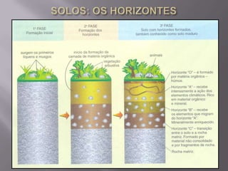 SOLOS: OS HORIZONTES
