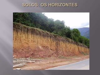 SOLOS: OS HORIZONTES