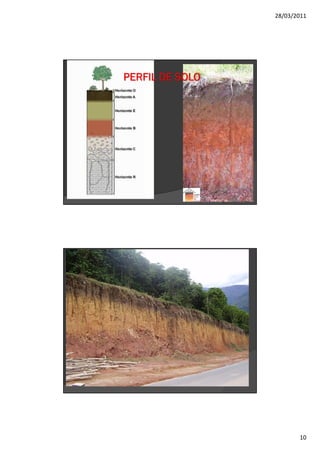 28/03/2011




PERFIL DE SOLO




                        10
 