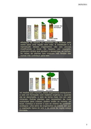 28/03/2011




•Pedaços de liquens ou sementes são levados pelo
vento para uma região sem vida. A instalação e a
reprodução desses organismos vão aos poucos
modificando o local. Os liquens, por exemplo,
produzem ácidos que ajudam a desagregar as rochas.
As raízes de plantas que crescem nas fendas das
rochas irão contribuir para isso.




•A medida que morrem, esses organismos enriquecem
o solo em formação com matéria orgânica e, quando
ela se decompõe, o solo se torna mais rico em sais
minerais. Outras plantas, que necessitam de mais
nutrientes para crescer, podem então se instalar no
local. Começa a ocorrer o que se chama de sucessão
ecológica: uma série de organismos se instala até que
a vegetação típica do solo e do clima da região esteja
formada.




                                                                 3
 