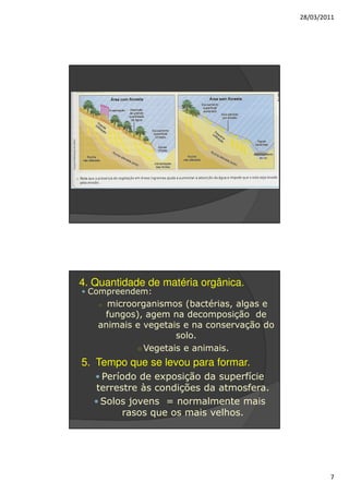 28/03/2011




4. Quantidade de matéria orgânica.
 Compreendem:
    ○microorganismos (bactérias, algas e
    fungos), agem na decomposição de
   animais e vegetais e na conservação do
                    solo.
           ○ Vegetais e animais.
5. Tempo que se levou para formar.
    Período de exposição da superfície
   terrestre às condições da atmosfera.
    Solos jovens = normalmente mais
         rasos que os mais velhos.




                                                    7
 