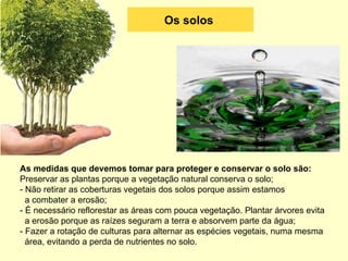 Os solos As medidas que devemos tomar para proteger e conservar o solo são: Preservar as plantas porque a vegetação natural conserva o solo; - Não retirar as coberturas vegetais dos solos porque assim estamos a combater a erosão; - É necessário reflorestar as áreas com pouca vegetação. Plantar árvores evita a erosão porque as raízes seguram a terra e absorvem parte da água; - Fazer a rotação de culturas para alternar as espécies vegetais, numa mesma área, evitando a perda de nutrientes no solo.
