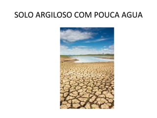 SOLO ARGILOSO COM POUCA AGUA 