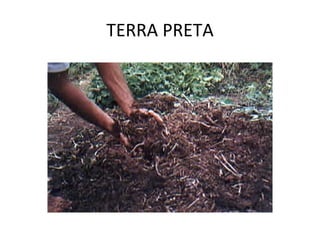 TERRA PRETA 