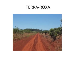 TERRA-ROXA 