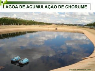 LAGOA DE ACUMULAÇÃO DE CHORUME




                       FOTO: LUÍS FERNANDO DE ABREU
 