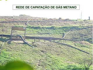REDE DE CAPATAÇÃO DE GÁS METANO




                          FOTO: LUÍS FERNANDO DE ABREU
 