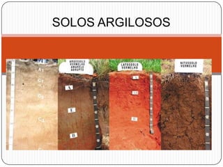SOLOS ARGILOSOS
 
