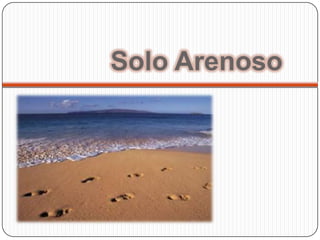 Solo Arenoso
 