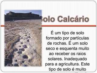 Solo Calcário
     É um tipo de solo
 formado por partículas
  de rochas. É um solo
 seco e esquenta muito
   ao receber os raios
  solares. Inadequado
 para a agricultura. Este
   tipo de solo é muito
 