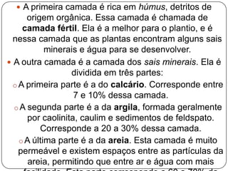  A primeira camada é rica em húmus, detritos de
      origem orgânica. Essa camada é chamada de
     camada fértil. Ela é a melhor para o plantio, e é
  nessa camada que as plantas encontram alguns sais
            minerais e água para se desenvolver.
 A outra camada é a camada dos sais minerais. Ela é
                  dividida em três partes:
  o A primeira parte é a do calcário. Corresponde entre
                   7 e 10% dessa camada.
  o A segunda parte é a da argila, formada geralmente
      por caolinita, caulim e sedimentos de feldspato.
          Corresponde a 20 a 30% dessa camada.
    o A última parte é a da areia. Esta camada é muito
    permeável e existem espaços entre as partículas da
       areia, permitindo que entre ar e água com mais
 