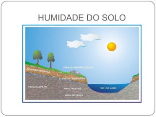HUMIDADE DO SOLO
 