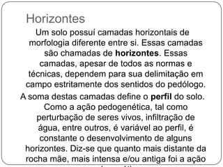 Horizontes
    Um solo possuí camadas horizontais de
  morfologia diferente entre si. Essas camadas
      são chamadas de horizontes. Essas
     camadas, apesar de todos as normas e
  técnicas, dependem para sua delimitação em
 campo estritamente dos sentidos do pedólogo.
A soma destas camadas define o perfil do solo.
      Como a ação pedogenética, tal como
    perturbação de seres vivos, infiltração de
     água, entre outros, é variável ao perfil, é
     constante o desenvolvimento de alguns
 horizontes. Diz-se que quanto mais distante da
 rocha mãe, mais intensa e/ou antiga foi a ação
 