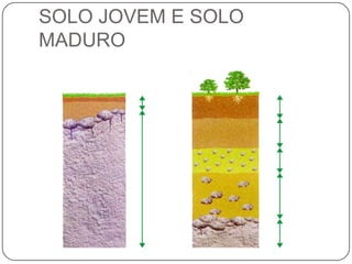 SOLO JOVEM E SOLO
MADURO
 