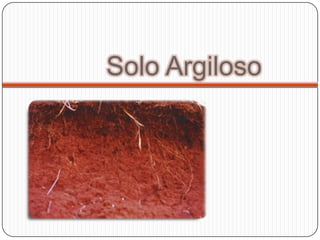 Solo Argiloso
 
