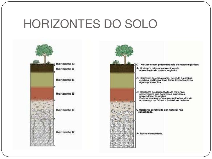 Identifique Qual Solo Era Jovem E Qual Era Bem Desenvolvido