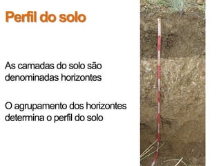 Perfil do solo


As camadas do solo são
denominadas horizontes

O agrupamento dos horizontes
determina o perfil do solo
 