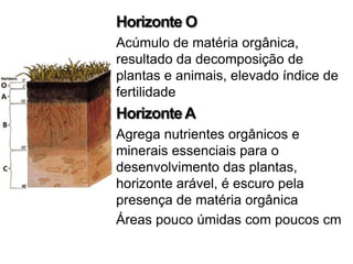 Horizonte O
Acúmulo de matéria orgânica,
resultado da decomposição de
plantas e animais, elevado índice de
fertilidade
Horizonte A
Agrega nutrientes orgânicos e
minerais essenciais para o
desenvolvimento das plantas,
horizonte arável, é escuro pela
presença de matéria orgânica
Áreas pouco úmidas com poucos cm
 