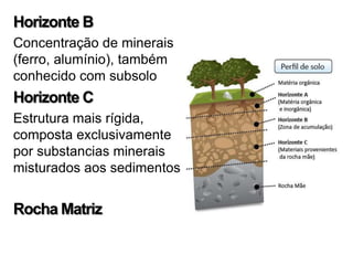 Horizonte B
Concentração de minerais
(ferro, alumínio), também
conhecido com subsolo
Horizonte C
Estrutura mais rígida,
composta exclusivamente
por substancias minerais
misturados aos sedimentos


Rocha Matriz
 