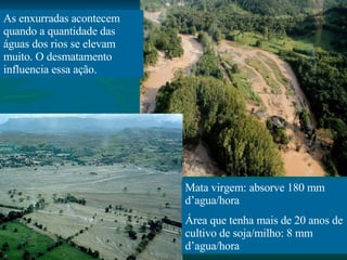 As enxurradas acontecem quando a quantidade das águas dos rios se elevam muito. O desmatamento influencia essa ação. Mata virgem: absorve 180 mm d’agua/hora Área que tenha mais de 20 anos de cultivo de soja/milho: 8 mm d’agua/hora 