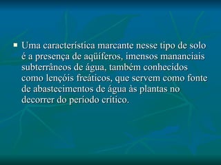 Uma característica marcante nesse tipo de solo é a presença de aqüíferos, imensos mananciais subterrâneos de água, também conhecidos como lençóis freáticos, que servem como fonte de abastecimentos de água às plantas no decorrer do período crítico.  
