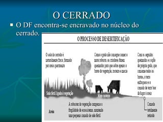 O CERRADO O DF encontra-se encravado no núcleo do cerrado. 