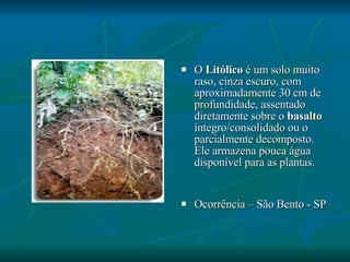 O  Litólico  é um solo muito raso, cinza escuro, com aproximadamente 30 cm de profundidade, assentado diretamente sobre o  basalto  íntegro/consolidado ou o parcialmente decomposto. Ele armazena pouca água disponível para as plantas. Ocorrência – São Bento - SP 