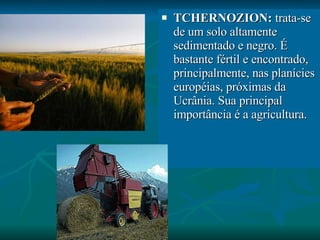 TCHERNOZION:  trata-se de um solo altamente sedimentado e negro. É bastante fértil e encontrado, principalmente, nas planícies européias, próximas da Ucrânia. Sua principal importância é a agricultura. 