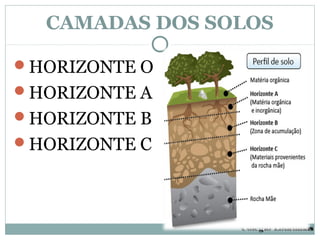 CAMADAS DOS SOLOS

HORIZONTE O
HORIZONTE A
HORIZONTE B
HORIZONTE C




                Colégio Lourdinas
 