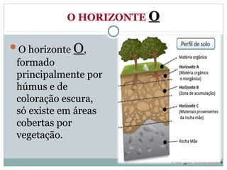 O HORIZONTE O

O horizonte   O,
 formado
 principalmente por
 húmus e de
 coloração escura,
 só existe em áreas
 cobertas por
 vegetação.

                           Colégio Lourdinas
 