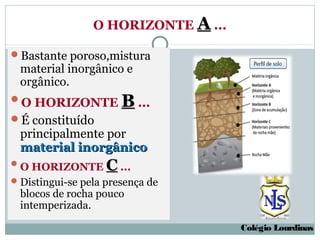 O HORIZONTE A ...

Bastante poroso,mistura
  material inorgânico e
  orgânico.
O HORIZONTE           B ...
É constituído
  principalmente por
  material inorgânico
 O HORIZONTE       C ...
 Distingui-se pela presença de
  blocos de rocha pouco
  intemperizada.

                                     Colégio Lourdinas
 