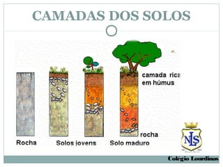 CAMADAS DOS SOLOS




              Colégio Lourdinas
 
