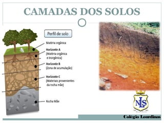 CAMADAS DOS SOLOS




              Colégio Lourdinas
 