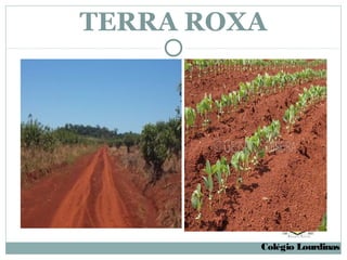 TERRA ROXA




         Colégio Lourdinas
 