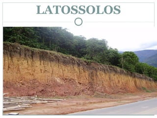 LATOSSOLOS




         Colégio Lourdinas
 